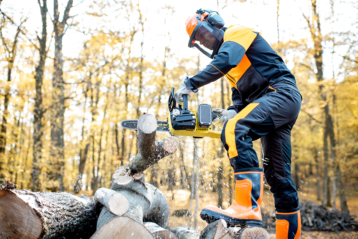 Safety Tips When Operating A Chainsaw - SafeWorks Illinois